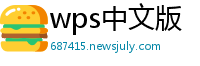 wps中文版